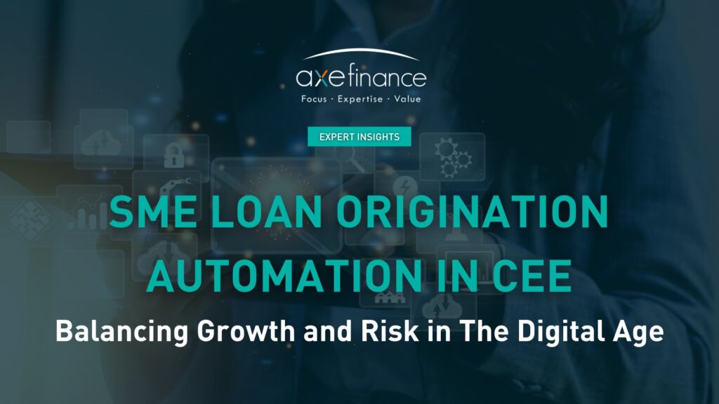 SME loan origination automation in CEE: balancing growth and risk in the digital age