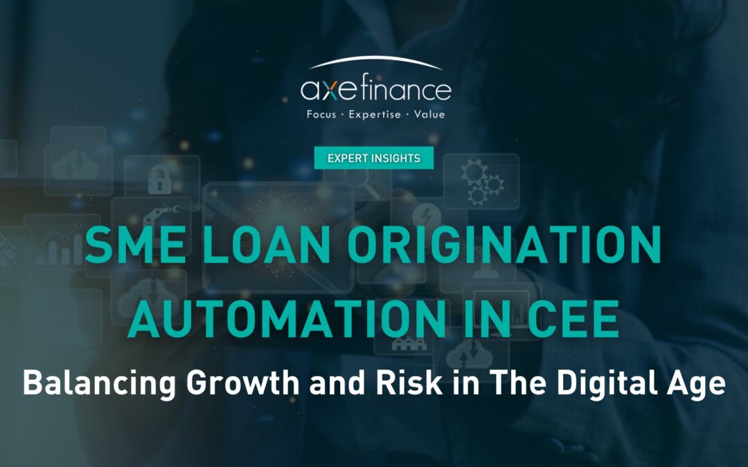 SME loan origination automation in CEE: balancing growth and risk in the digital age