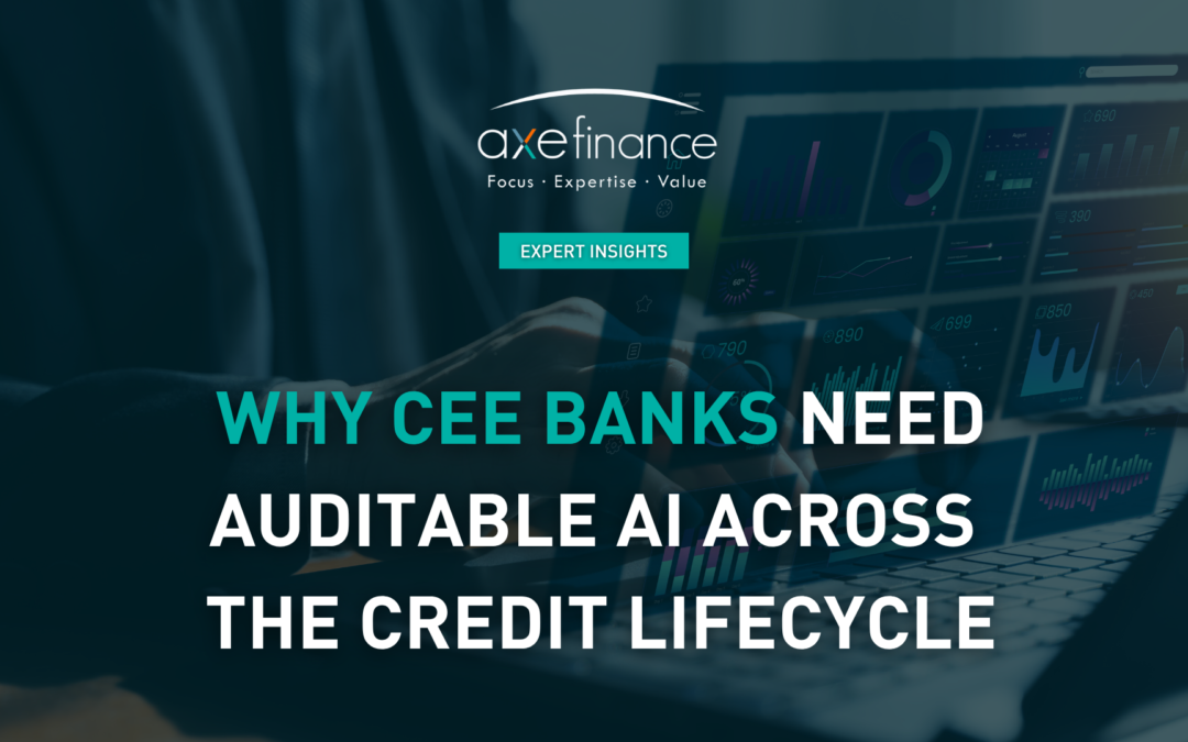 Why CEE Banks Need Auditable AI Across the Credit Lifecycle